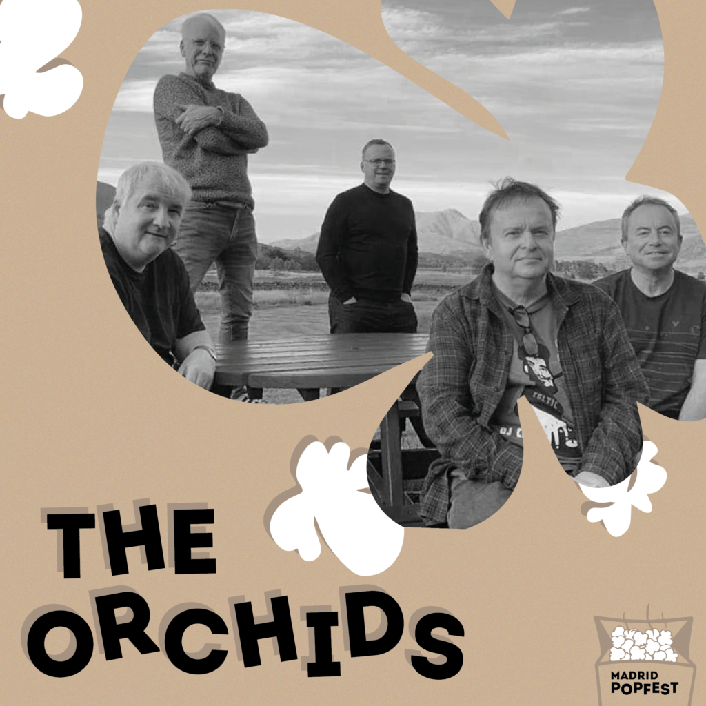TheOrchids
